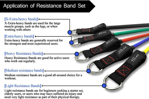 TheFitLife Exercise Resistance Bands with Handles - 5 Fitness Workout Bands, Stackable up to 110/150/200/250/300 lbs,