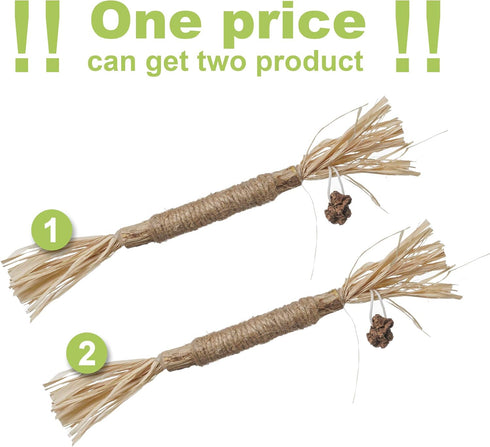 PAZ'S GIFT Catnip Toy, 2pcs Cat Chew Kicking Silvervine Stick, Indoor Interactive Dental Care for Kittens