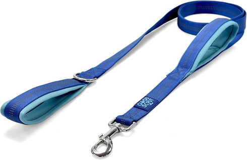 Good Scout Padded Handle Dog Leash - Durable Walking & Training Leash for Puppies & Adult Dogs, Blue/Sky