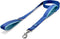 Good Scout Padded Handle Dog Leash - Durable Walking & Training Leash for Puppies & Adult Dogs, Blue/Sky