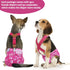 3 Pack BDD05L CuteBone Dog Diapers Female Reusable Doggy Diapers with One Suspender for Small Medium Large Dog Period