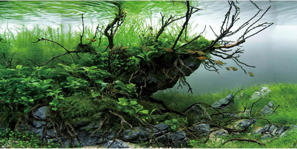AWERT 24x16 inches Fish Tank Background, Branches, Seaweed, River Bed & Lake Aquarium Vinyl Background