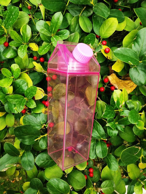 Jinberry 500ml/17Oz Portable Cute Leakproof Milk Carton Water Bottle for Outdoor Climbing, Tour, or Camping