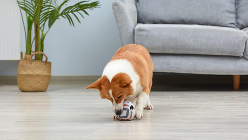 Star Wars for Pets BB-8 Plush Squeaky Ball, Soft Fabric Dog Toy, 4 Inch Chew Toy for Dogs