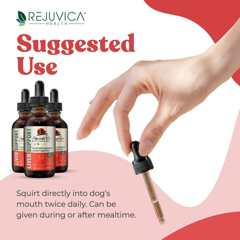 Ancient Pet Liver - Advanced Liver Support Supplement for Dogs with Liquid Delivery for Better Absorption