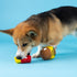 Fringe Studio Dog Toy Set - Big Buns, Small Fry, 2Pc Mini Latex, Pet Shop Collection (368013)