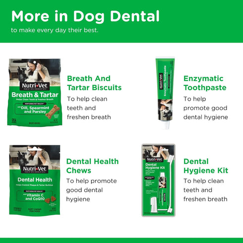 Nutri-Vet Enzymatic Toothpaste for Dogs, Non-Foaming Chicken Flavor, 2.5 oz
