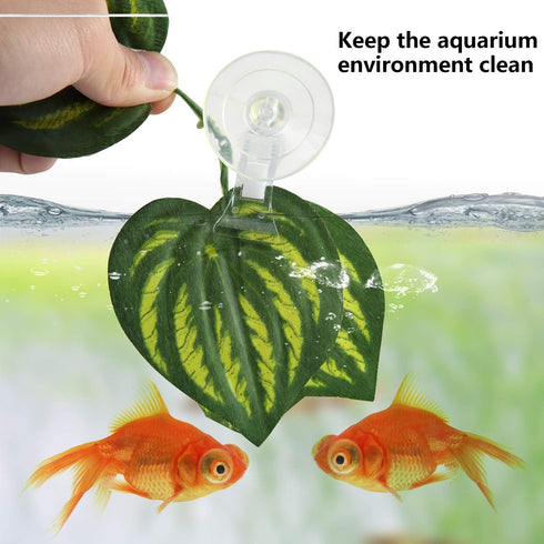 SLSON Aquarium Accessories for Fish Tank - Fishes Veggie Seaweed Plant Suction Cup Clip Feeding Tool (4 Pack