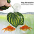 SLSON Aquarium Accessories for Fish Tank - Fishes Veggie Seaweed Plant Suction Cup Clip Feeding Tool (4 Pack