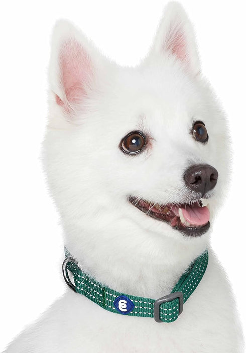 Blueberry Pet Essentials Matching Large Dog Collar, Adjustable Classic Solid Color Nylon Reflective Dark Green Collar