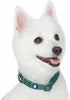 Blueberry Pet Essentials Matching Large Dog Collar, Adjustable Classic Solid Color Nylon Reflective Dark Green Collar