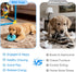 8 19.5" Puppy Play Gym with Hanging Toys - Indoor Jungle Gym for Small Dogs, Interactive Enrichment Activity Center