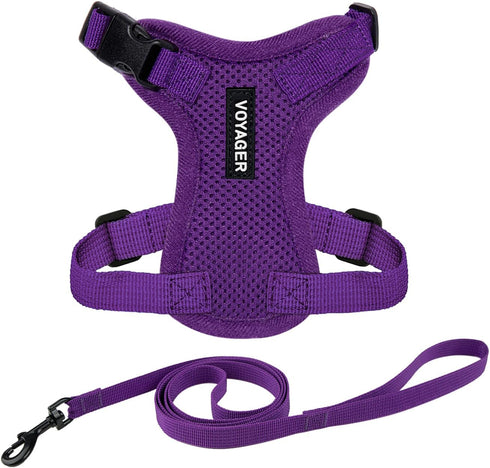 Voyager Step-in Lock Adjustable Cat Harness with Leash Combo Set, Neoprene Handle 5ft, Purple, XXS