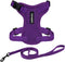 Voyager Step-in Lock Adjustable Cat Harness with Leash Combo Set, Neoprene Handle 5ft, Purple, XXS