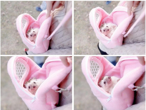 1 PCS Portable White Mesh African Hedgehog Hamster Carrier Bag | Breathable Pet Dog Handbag, Puppy Cat Travel (S)
