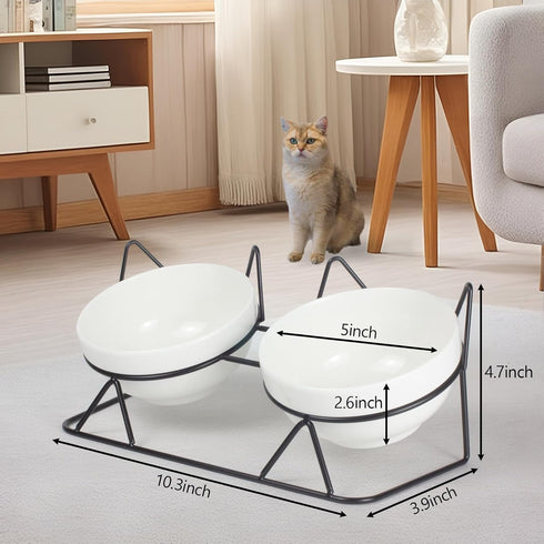 Elevated Tilted Cat Bowls for Indoor Cats, Raised 15° Ceramic Cat Bowl for Food and Water, Anti Vomiting Bowl (Double