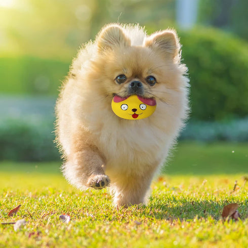 Funny Animal Squeaky Dog Balls, 6 Pcs/Set for Mini Small Pet Dogs