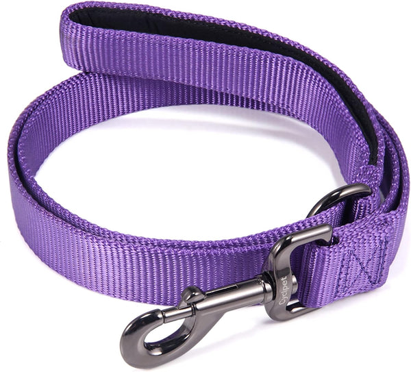 Advanced 4 Feet Dog Leash with Padded Handle, Sturdy Nylon Leads for Medium Large Dogs Walking, Training, Hiking, etc