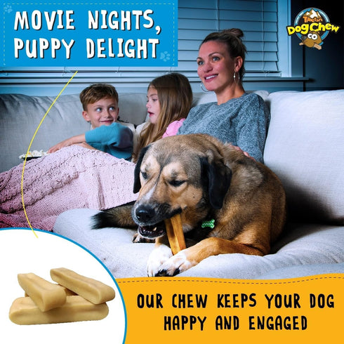 Tibetan Dog Chew Yak Cheese Sticks - Natural Handmade Treats for Medium Dogs, Long-Lasting, Easy to Digest, No