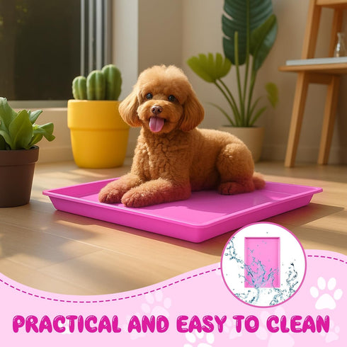 Maxdot 3 24 Inch Pcs Pink Dog Crate Tray Replacement Pan for Crate Home, Pink Dog Ideal for Potty Training Tray Chew