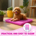 Maxdot 3 24 Inch Pcs Pink Dog Crate Tray Replacement Pan for Crate Home, Pink Dog Ideal for Potty Training Tray Chew