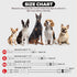 azuza Bowtie Dog Collar, Soft & Comfy with Fun Patterns for Small Dogs