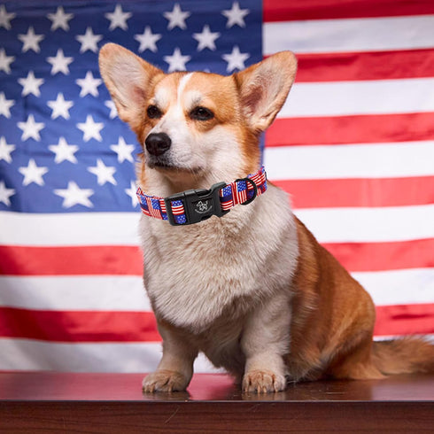 Elegant Little Tail Independence Day Dog Collar, Holiday Patriotic Durable Collar for Small Medium Large Dogs, Pet Gift