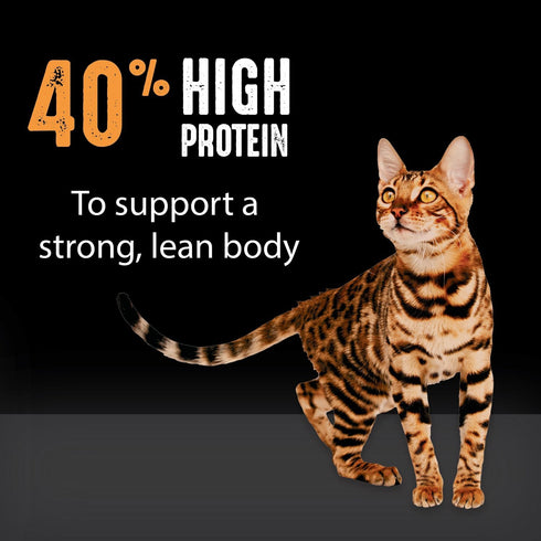 CRAVE Grain Free Adult High Protein Natural Dry Cat Food with Chicken, 4 lb. Bag
