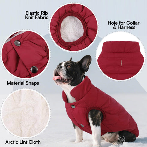 ASENKU Waterproof Windproof Dog Winter Coat, Warm Snowproof Puffer Vest for Small Medium Large Dogs (M, Red)