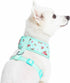 Blueberry Pet Floral Dog Vest Harness, Turquoise, X-Small, Lightweight & Comfy Fit for Small Breeds, No Pull Design
