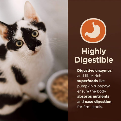 Wellness CORE Digestive Health Probiotic Coated High Protein Dry Cat Food, Salmon & Rice Recipe, 5 Pound Bag