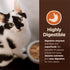 Wellness CORE Digestive Health Probiotic Coated High Protein Dry Cat Food, Salmon & Rice Recipe, 5 Pound Bag