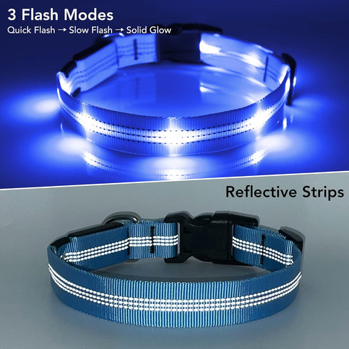 Light Up Dog Collars - Rechargeable LED Reflective Dog Collar for Night Walking - Adjustable Glow Collar (Blue, Small)