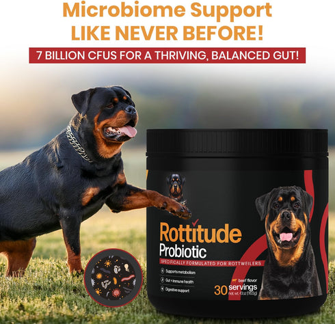 Rottitude Probiotics for Dogs Natural Dog Probiotics for Digestive Health, Gut Health, Yeast, Itchy Skin & Itchy Ears