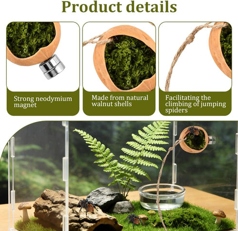 Lovarisse Insects(Wood,Size:4.5 3cm) Walnut Skin Spider Shelter,Magnetic Jumping Spider Habitat,Handmade Climbing