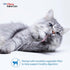 0.5 48 (4 Pack), INABA Churu for Cats, Functional, Creamy Lickable Pure Cat Treat for Indoor Care and Hairball Control