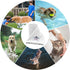 DAN RIVER 100% Cotton Dog Bath Towel, Ultra Soft 450 GSM, Quick Drying, 20x40 inches, White