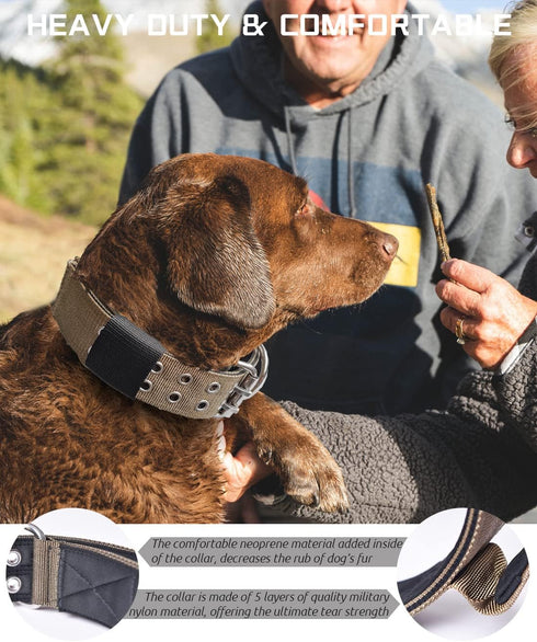 Large Dog Collar Heavy Duty - 2 Inch Wide with Handle for Extra Large Breeds, 22"-27"