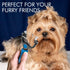 OneCut Pet Grooming Brush and Metal Comb Combo, Double Sided Deshedding Tool for Small, Medium & Large Dogs (Red)