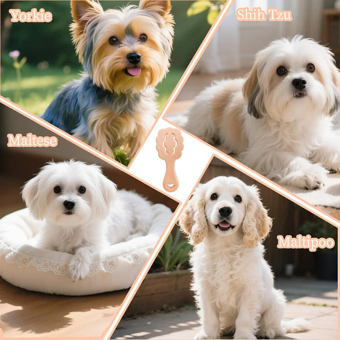 Cloud-Shaped Soft Bristle Small Dog Brush - Hollow Back Design for Easy Grooming - Ideal for Yorkie, Shih Tzu, Maltese