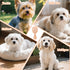 Cloud-Shaped Soft Bristle Small Dog Brush - Hollow Back Design for Easy Grooming - Ideal for Yorkie, Shih Tzu, Maltese