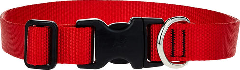 LupinePet Basics 1" Red Adjustable Collar, 12-20" for Medium and Larger Dogs