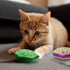 CiyvoLyeen D20 Dice Catnip Toy, Interactive Plush Catmint Toy for DND Role Playing, Set of 5
