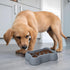 ORIA Slow Feeder Dog Bowls - Silicone Anti-Choking Puzzle Bowls with Non-Slip Base, Machine Washable