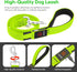 LED Light Up Dog Leash with 3 Lighting Modes, USB Rechargeable, High Visibility for Large Medium Small Pets