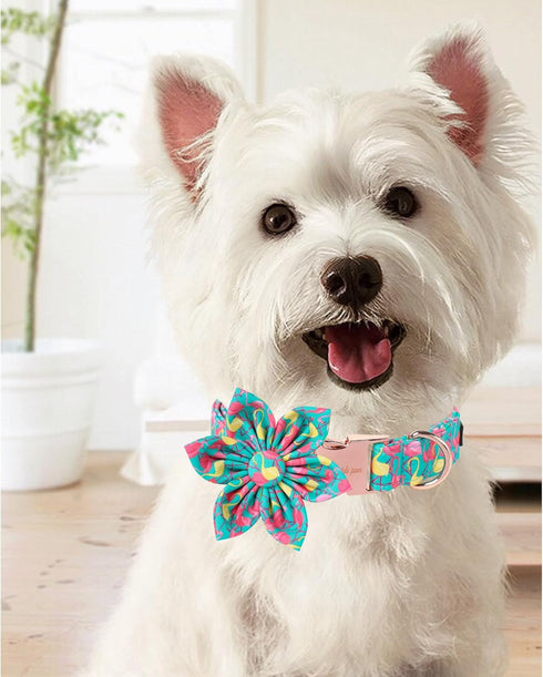Unique Style Paws Summer Dog Collar with Floral Bow, Flamingo Bow Tie Puppy Collar, Cute Green for Small Medium Large