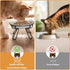 The Ultimate Cat Dining Set: 5.9 inch Ceramic Cat Water Bowl and Anti-vomiting Cat Plates with Metal Stand
