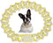 Gold Chain Dog Collar, Bling Diamond Cuban Link, Rhinestone Glitter Necklace for Small Medium Large Dogs Cats, 10-Inch