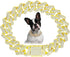 Gold Chain Dog Collar, Bling Diamond Cuban Link, Rhinestone Glitter Necklace for Small Medium Large Dogs Cats, 10-Inch