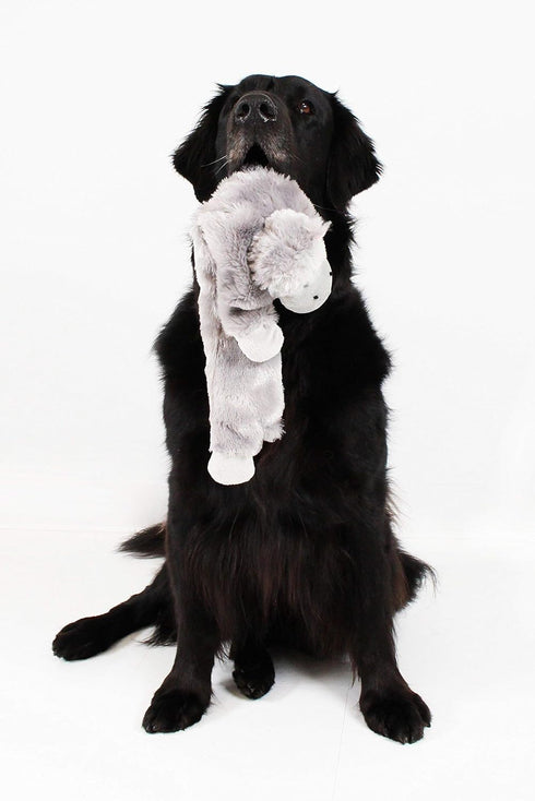 Midlee Hippo Stuffingless Dog Toy - 21"